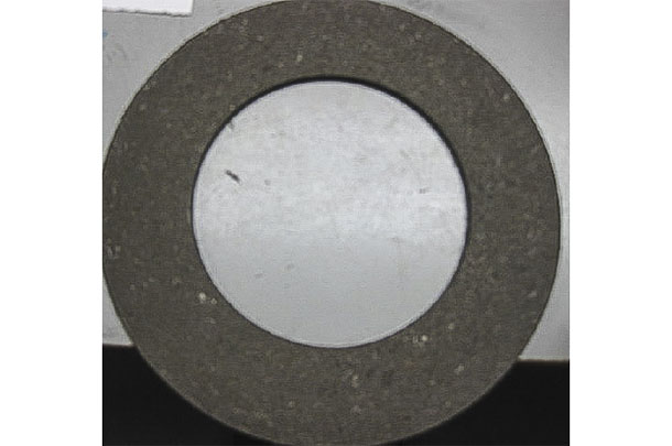 common fiber disc