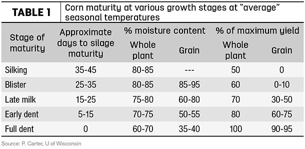 corn maturity table