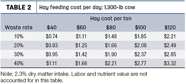Hay feeding cost per day: 1,300-lb cow
