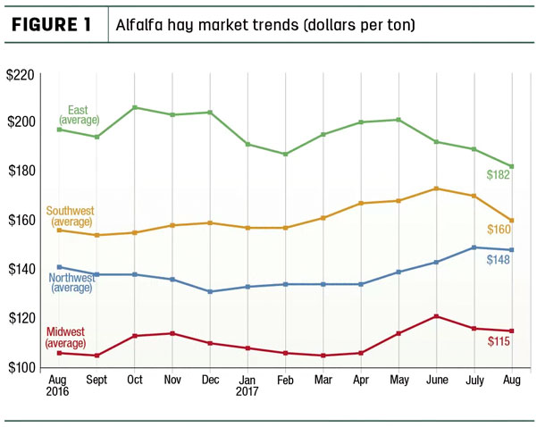 alfalfa market trends