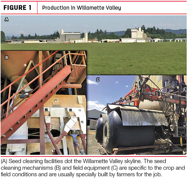 Production in Willamette Valley