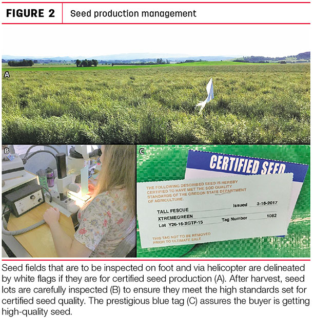 Seed production management