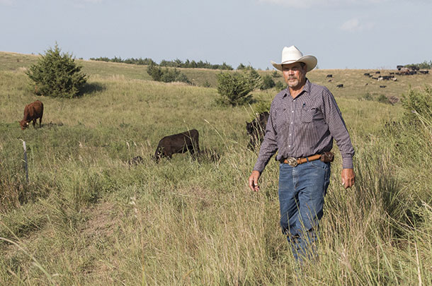 Steve Grudzinski in a pastures grazed by yearling heifers. 