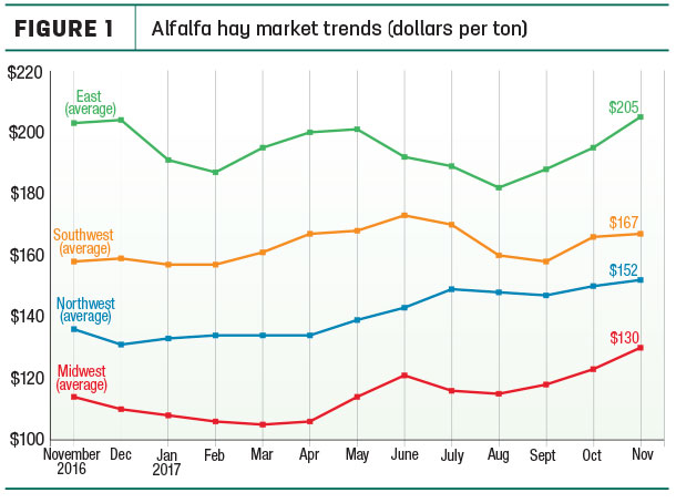 alfalfa market trends 