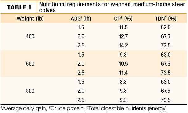 Nutritional requirements for weaned, medium-frame steer calves
