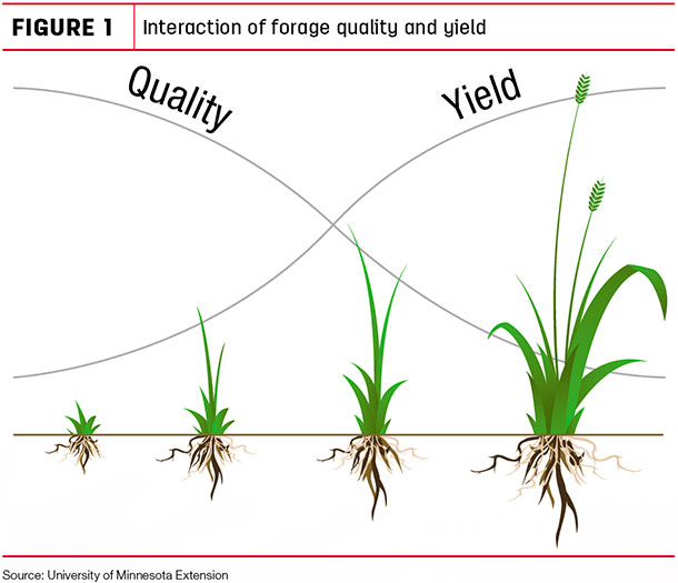 Interaction of forage quality and yield