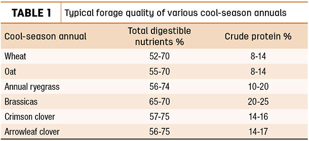 Typical forage quality of various cool-season annuals