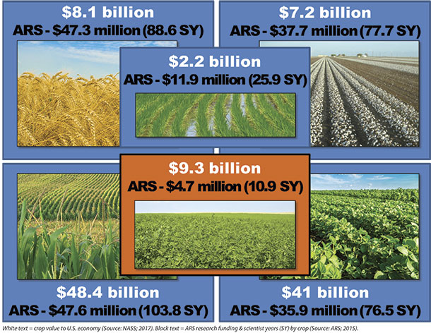 big five crops and alfalfa value