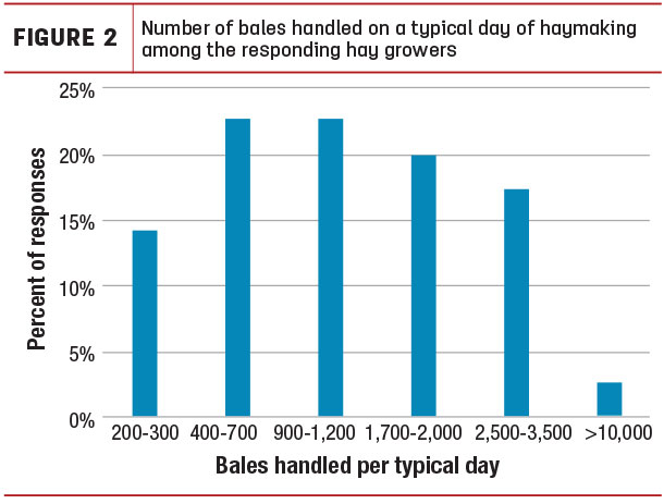Number of bales handled on a typical day of haymaking 