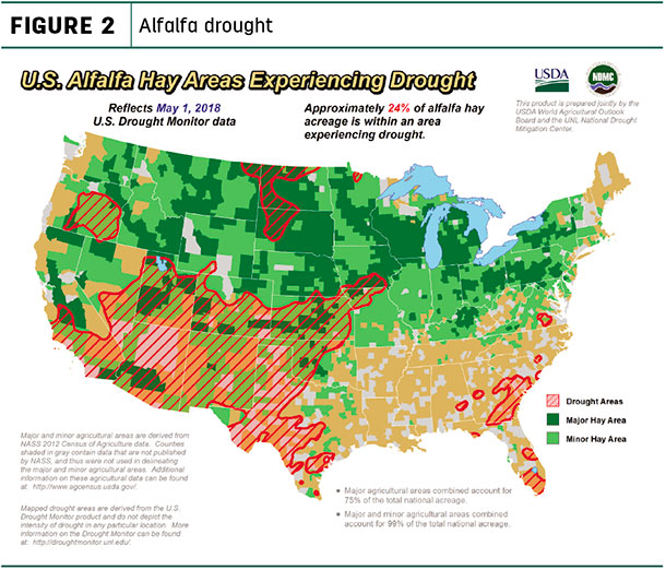 Alfalfa drought