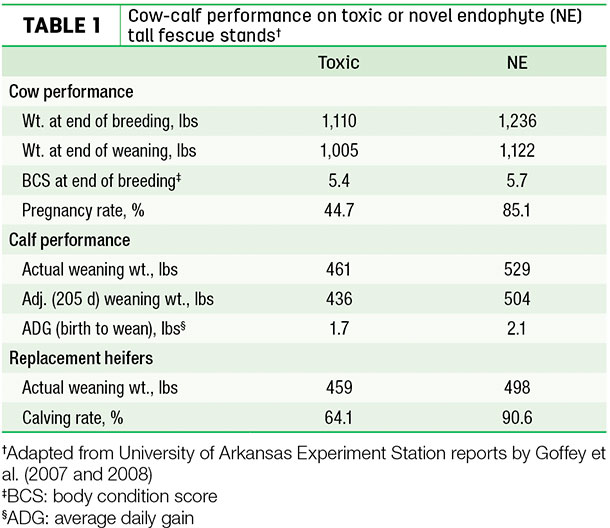 Cow-calf performance on toxic or novel endophyte