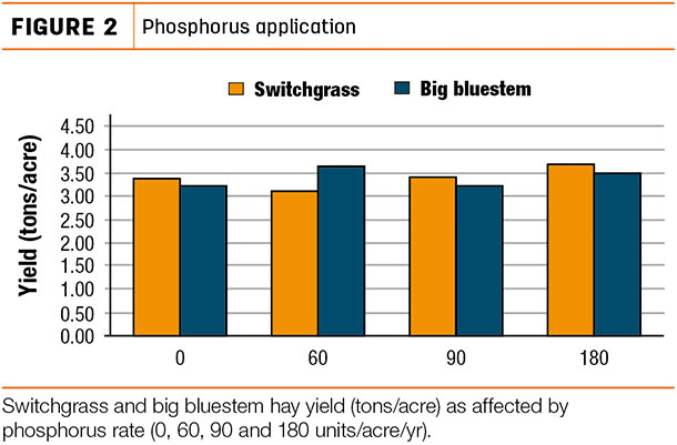 Phosphorus application