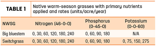 Native warm-season grasses with primary nutrients applied and rates