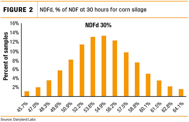 NDFd 96 of NDF at 30 hours ofr corn silage