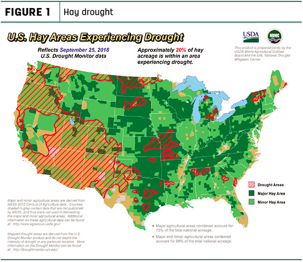 hay drought map