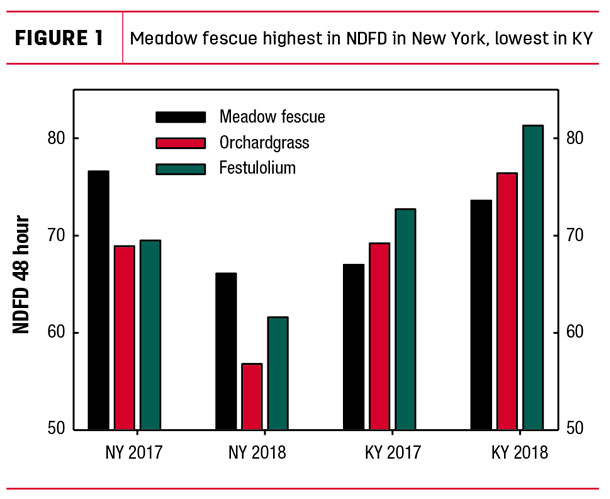 Meadow fescue highest in NDFD in New York