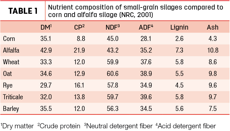 Nutrient composition of small-grain silages compared to corn and alfalfa silage