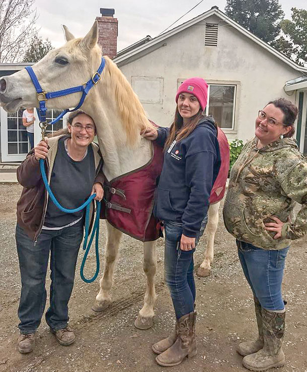 A happy horse owner reclaims her horse