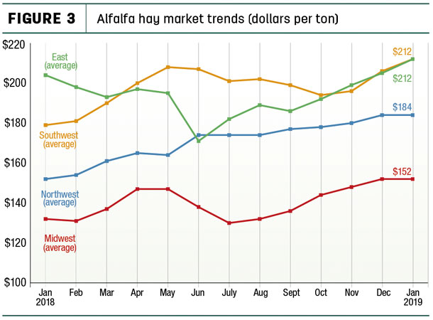 Alfalfa hay market trends