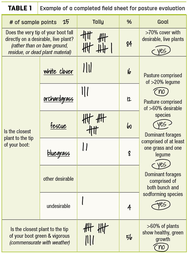 Example of a completed field sheet for pasture evaluation