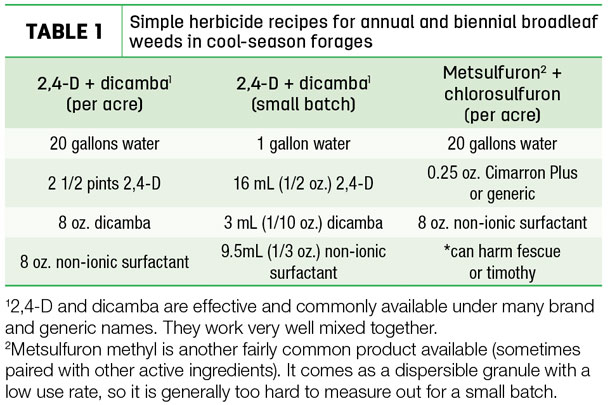 Simple herbicide recipes for annual and biennial broadleaf weeds in cool-season forages