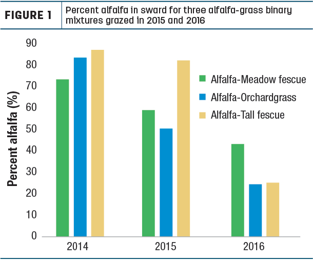 Percent alfalfa in sward for three alfalfa-grass binary