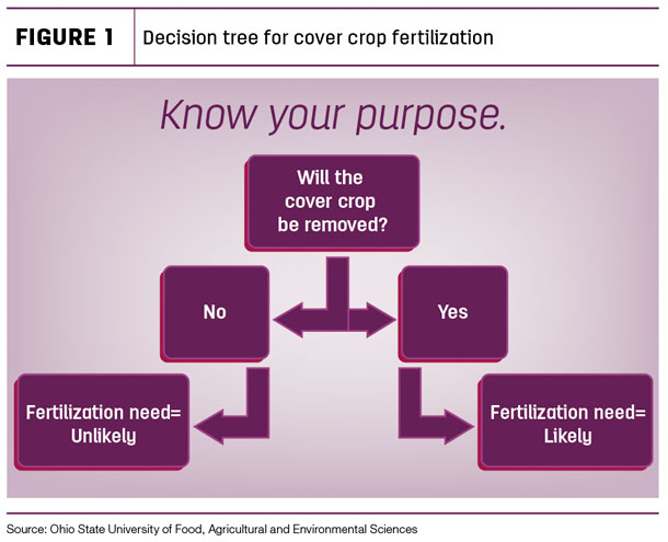 Decision tree for cover crop fertilization