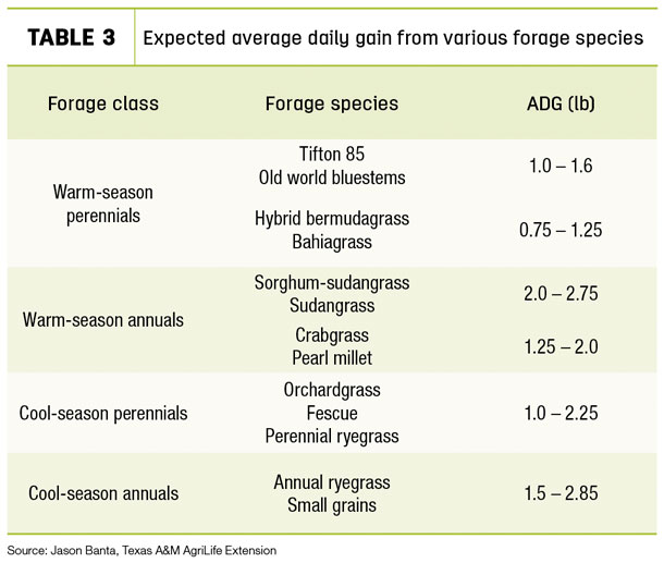 Expected average daily gain from various forage species