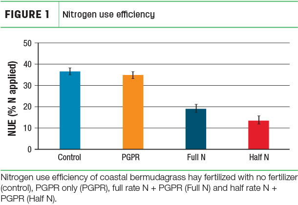 Nitrogen use efficiency