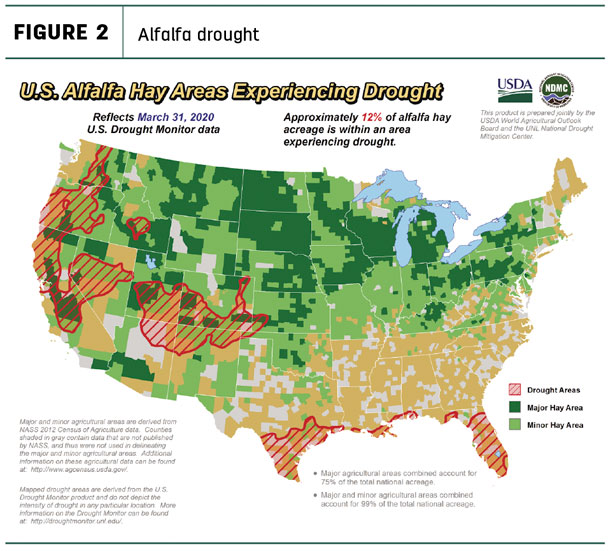 040220 natzke forage market insights fg1 alfalfa drought