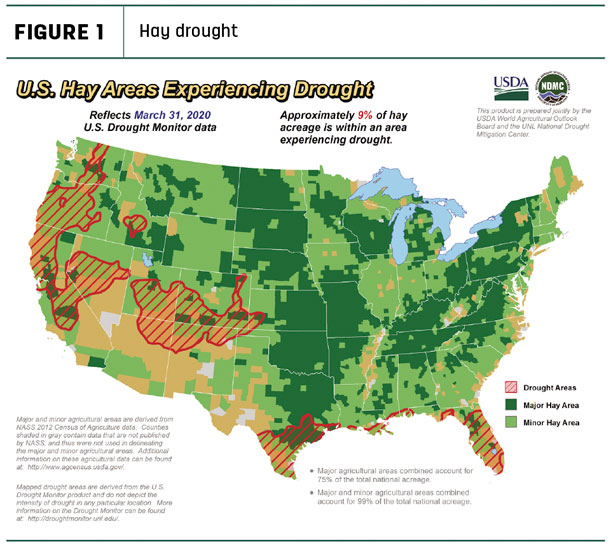 040220 natzke forage market insights fg1 hay drought