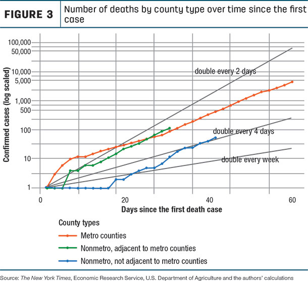 COVID death rates