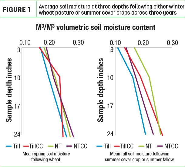 Average soil moisture at three depths following either winter wheat pasture or summer cover crops 