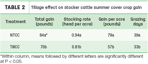 Tilage effect on stocker cattle summer cover crop gain