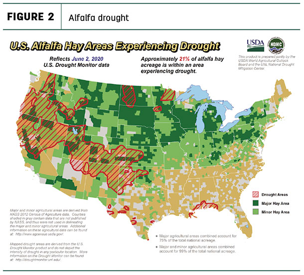 alfalfa drought