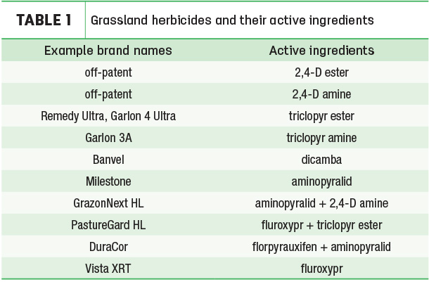 Grassland herbicides and their active ingredients