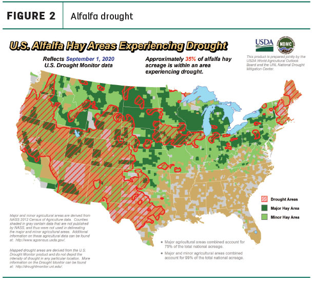 alfalfa drought areas