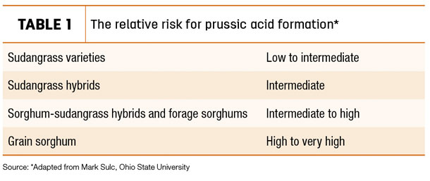 The relative risk for prussic acid formation