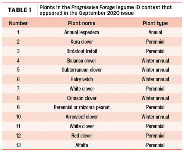 Plants in the Progressive Forage legum ID contest 