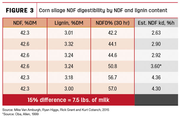 corn silage NDF digestibility by NDF and lignin content