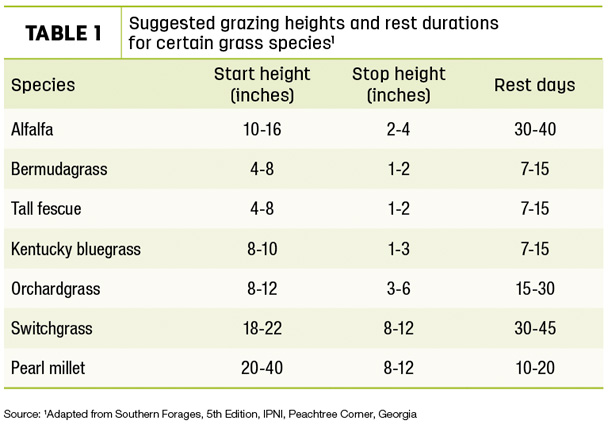 Suggested grazing heights and rest durations for certain grass species