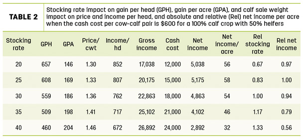 Stocking rate impact on gain per head