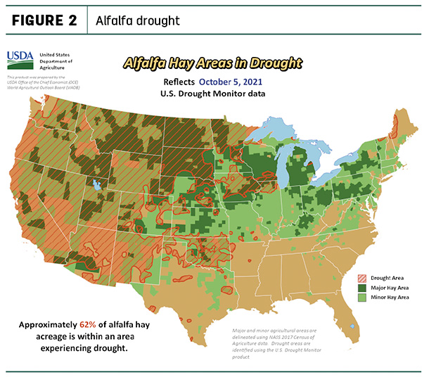 alfalfa drought areas