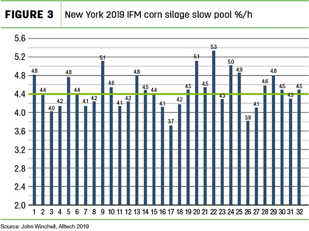 New youk 2019 IFM corn silage