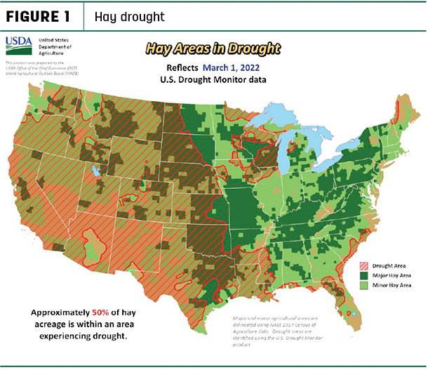 hay drought areas